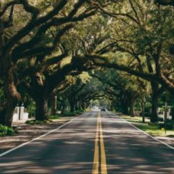 Ponce-Park-17-495x330
